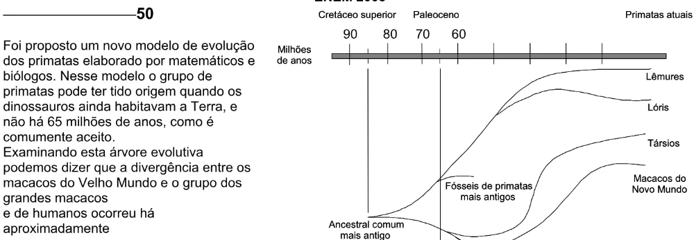 Trecho original com figura, tabela ou fórmula da questão 50 do ENEM 2005 - Caderno Amarelo.