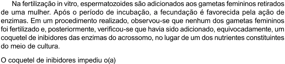 Trecho original com figura, tabela ou fórmula da questão 118 do ENEM 2023 - 2º Dia – Caderno 12 – Verde (Libras) – Aplicação Regular - (Ampliada).