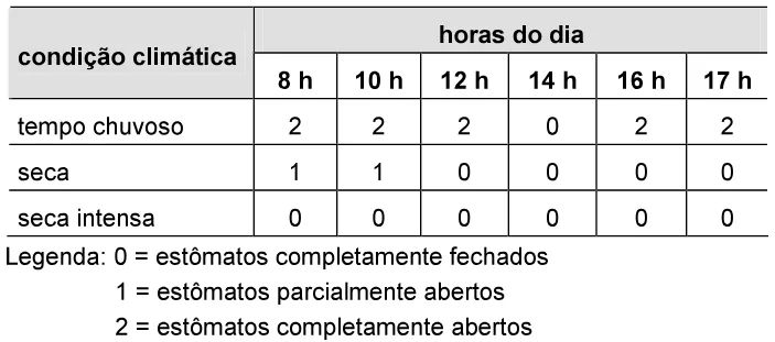 Trecho original com figura, tabela ou fórmula da questão 35 do ENEM 2006 - Caderno Amarelo.