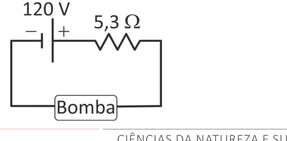 Alternativa C da questão 125 do ENEM 2025 - 2º Dia – Caderno 11 – Laranja (Braile e ledor) – Aplicação Regular - (Superampliada).
