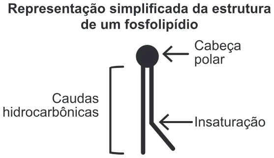 Trecho original com figura, tabela ou fórmula da questão 123 do ENEM 2019 - 2º Dia – Caderno 12 – Verde (Libras) – Aplicação Regular.