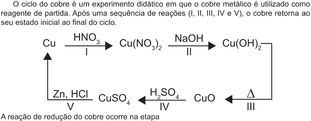 Trecho original com figura, tabela ou fórmula da questão 124 do ENEM 2021 - 2º Dia – Caderno 5 – Amarelo (Ampliada) – Aplicação Regular.