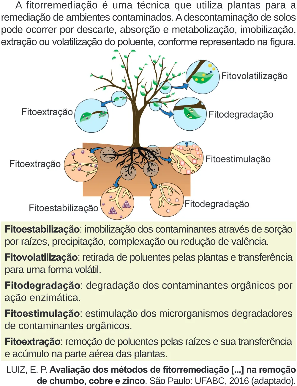 Trecho original com figura, tabela ou fórmula da questão 118 do ENEM 2024 - 2º Dia – Caderno 8 – Verde – Aplicação Regular - (Superampliada).