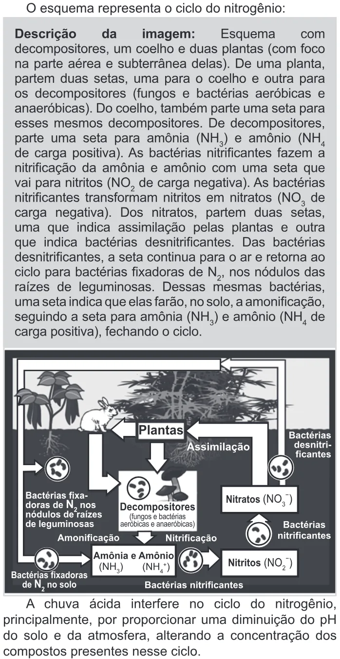 Trecho original com figura, tabela ou fórmula da questão 99 do ENEM 2022 - 2º Dia – Caderno 11 – Laranja (braile e ledor) – Aplicação Regular.