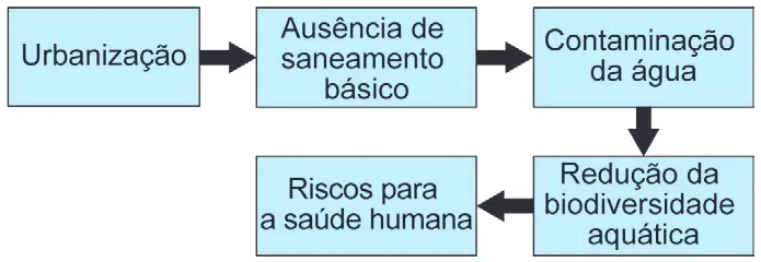 Trecho original com figura, tabela ou fórmula da questão 104 do ENEM 2024 - 2º Dia – Caderno 7 – Azul – Aplicação Regular.