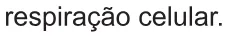 Alternativa E da questão 105 do ENEM 2017 - 2º Dia - Caderno 6 - Cinza – Reaplicação/PPL.