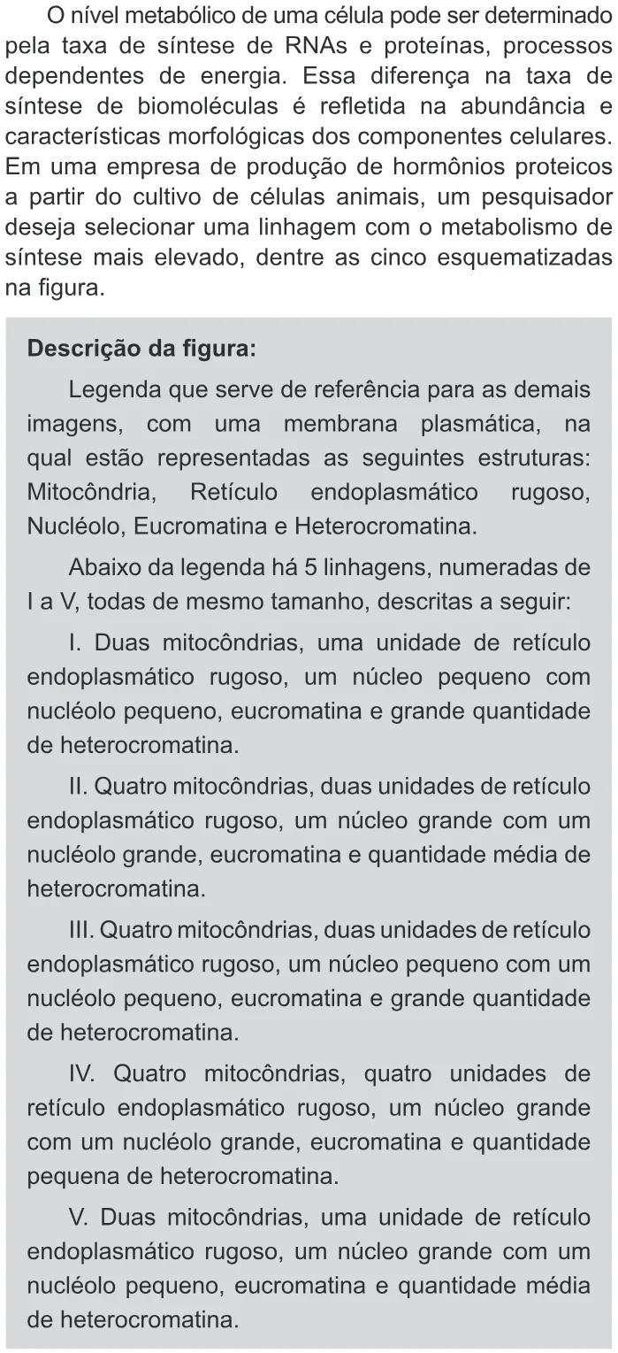 Trecho original com figura, tabela ou fórmula da questão 114 do ENEM 2018 - 2º Dia - Caderno 11 – Laranja (Braile e ledor) – Aplicação regular.