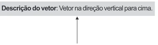 Alternativa D da questão 122 do ENEM 2024 - 2º Dia – Caderno 11 – Laranja (braile e ledor) – Aplicação Regular.