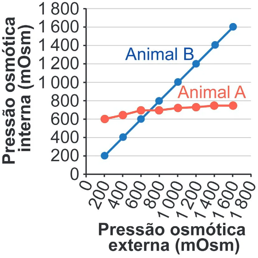 Gráfico da alternativa B da questão 105 do ENEM 2024.