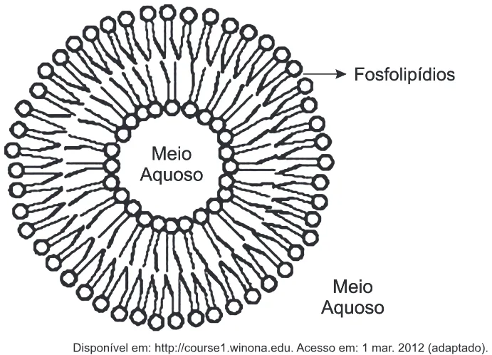 Trecho original com figura, tabela ou fórmula da questão 77 do ENEM 2012 - 1º Dia - Caderno 2 - Amarelo – Aplicação regular.