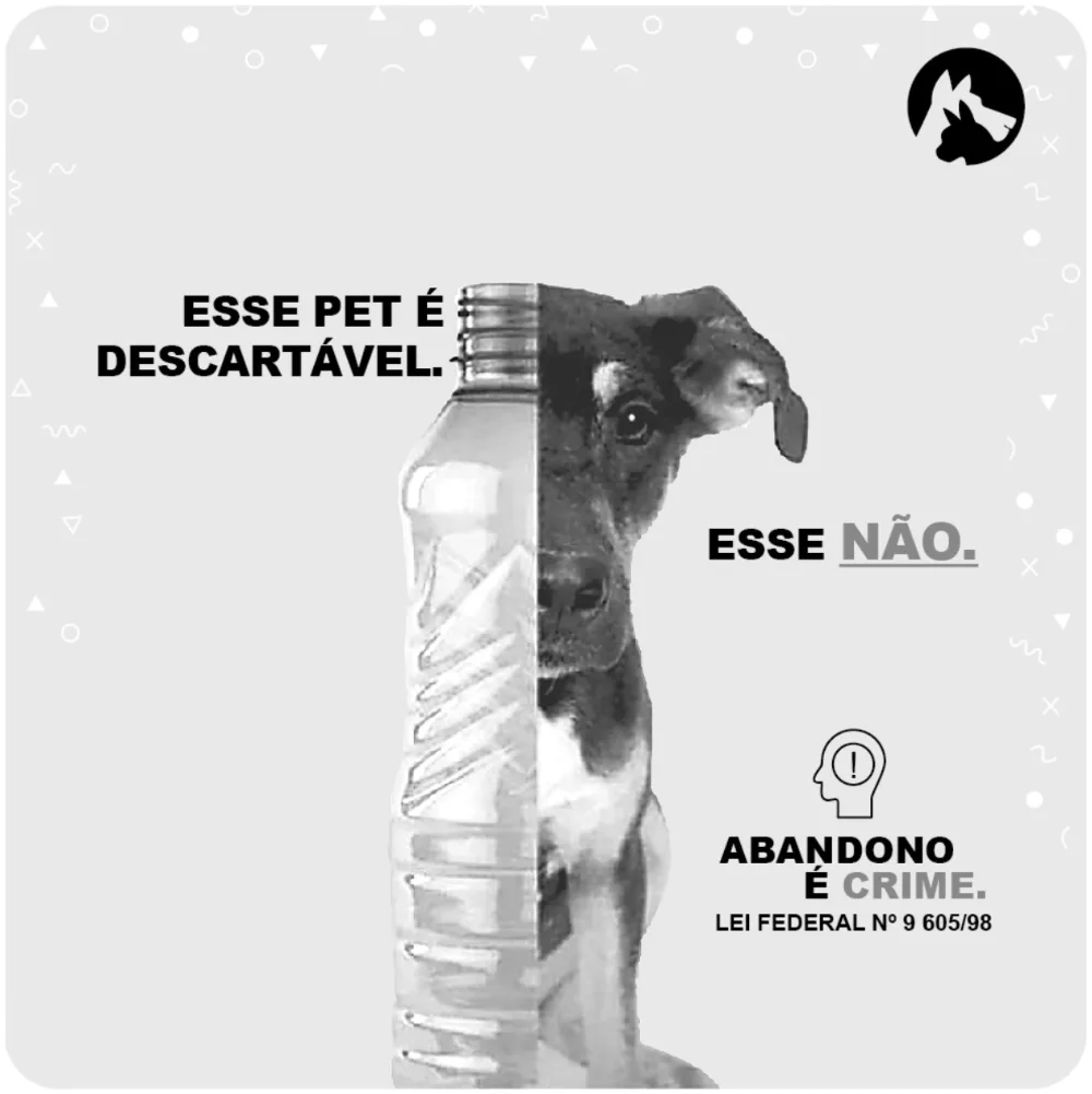 Trecho original com figura, tabela ou fórmula da questão 6 do ENEM 2021 - 1º Dia – Caderno 4 – Rosa – Inglês – Aplicação digital.