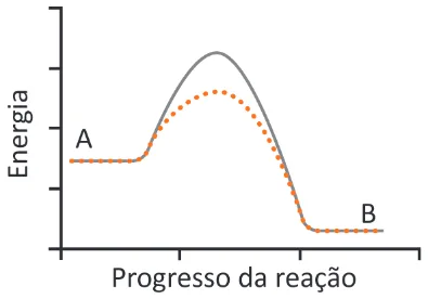 Alternativa C da questão 127 do ENEM 2025 - 2º Dia – Caderno 7 – Azul – Aplicação Regular.
