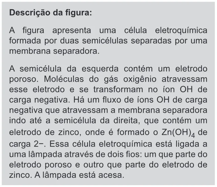 Trecho original com figura, tabela ou fórmula da questão 125 do ENEM 2019 - 2º Dia – Caderno 11 – Laranja (Braile e Ledor) – Aplicação Regular.