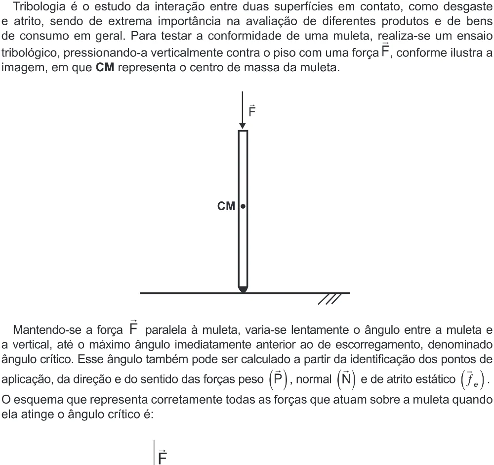 Trecho original com figura, tabela ou fórmula da questão 123 do ENEM 2022 - 2º Dia – Caderno 6 – Cinza (Ampliada) – Aplicação Regular.