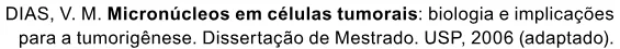 Trecho original com figura, tabela ou fórmula da questão 134 do ENEM 2023 - 2º Dia – Caderno 7 – Azul – Aplicação Regular.