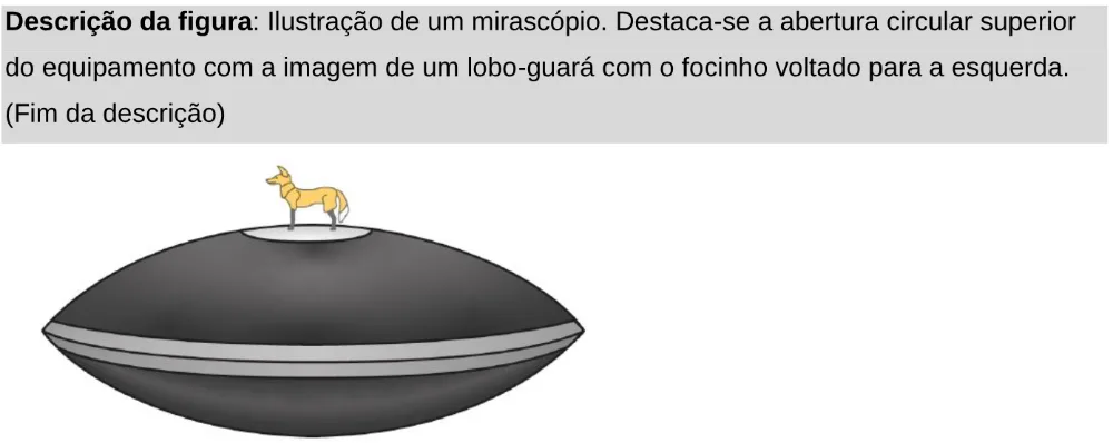 Trecho original com figura, tabela ou fórmula da questão 110 do ENEM 2024 - 2º Dia – Caderno 11 – Laranja (braile e ledor) – Aplicação Regular - Leitor de tela (NVDA).