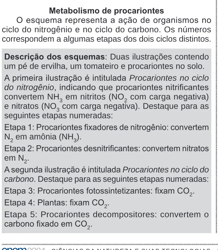 Trecho original com figura, tabela ou fórmula da questão 103 do ENEM 2024 - 2º Dia – Caderno 11 – Laranja (braile e ledor) – Aplicação Regular.