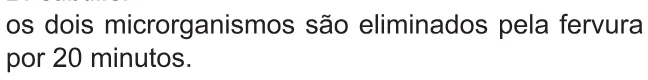 Alternativa E da questão 106 do ENEM 2021 - 2º Dia – Caderno 11 – Laranja (braile e ledor) – Reaplicação/PPL/Segunda Oportunidade.