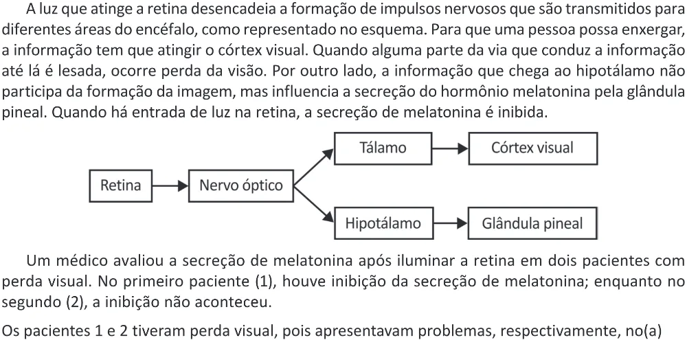 Trecho original com figura, tabela ou fórmula da questão 124 do ENEM 2025 - 2º Dia – Caderno 11 – Laranja (Braile e ledor) – Aplicação Regular - (Ampliada) - Belém, Ananindeua e Marituba.