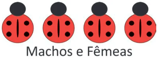 Alternativa C da questão 101 do ENEM 2025 - 2º Dia – Caderno 12 – Roxo (Libras) – Aplicação Regular - (Ampliada).