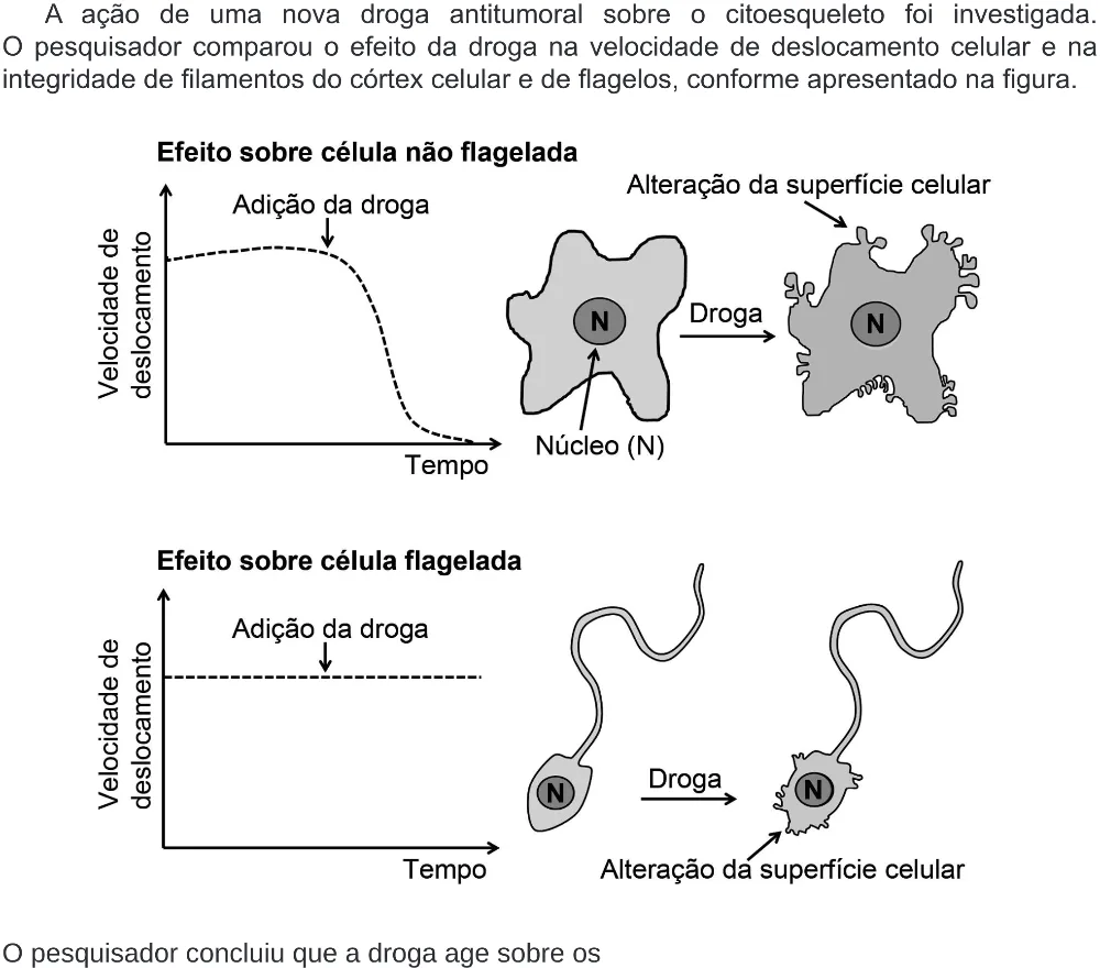 Trecho original com figura, tabela ou fórmula da questão 117 do ENEM 2019 - 2º Dia – Caderno 5 – Amarelo (Ampliada) – Reaplicação/PPL.