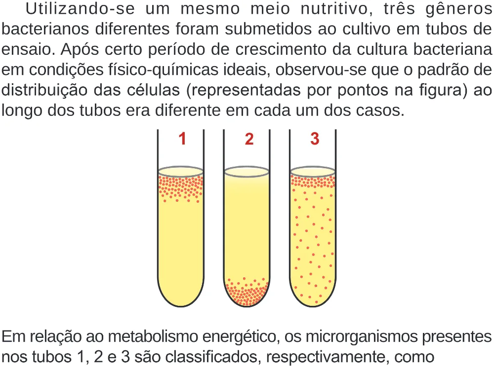 Trecho original com figura, tabela ou fórmula da questão 131 do ENEM 2024 - 2º Dia – Caderno 8 – Verde – Aplicação Regular - (Superampliada).