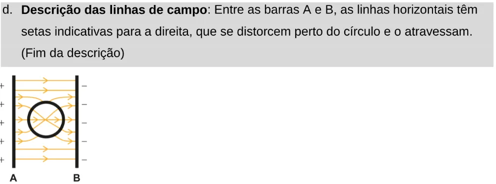 Alternativa D da questão 128 do ENEM 2024 - 2º Dia – Caderno 11 – Laranja (braile e ledor) – Aplicação Regular - Leitor de tela (NVDA).