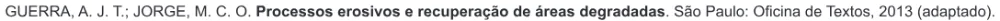 Trecho original com figura, tabela ou fórmula da questão 46 do ENEM 2017 - 1º Dia - Caderno 14 - Azul – Reaplicação/PPL.
