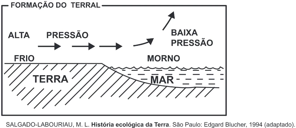 Trecho original com figura, tabela ou fórmula da questão 77 do ENEM 2017 - 1º Dia - Caderno 1 - Azul (Ampliada) – Aplicação regular.