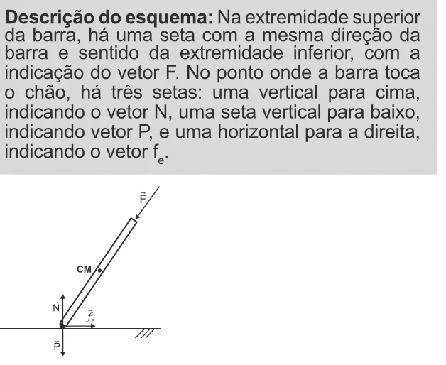 Alternativa C da questão 123 do ENEM 2022 - 2º Dia – Caderno 11 – Laranja (braile e ledor) – Aplicação Regular.