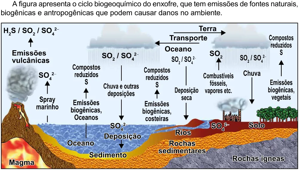 Trecho original com figura, tabela ou fórmula da questão 131 do ENEM 2023 - 2º Dia – Caderno 8 – Rosa (Ampliada) – Reaplicação/PPL.