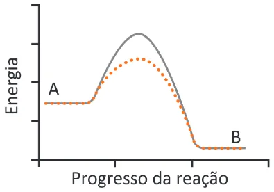 Alternativa C da questão 121 do ENEM 2025 - 2º Dia – Caderno 8 – Verde – Aplicação Regular.