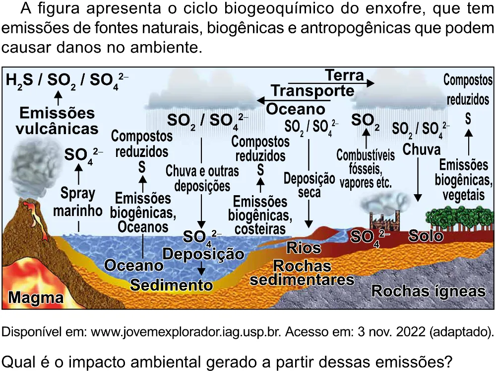 Trecho original com figura, tabela ou fórmula da questão 131 do ENEM 2023 - 2º Dia – Caderno 8 – Rosa (Superampliada) – Reaplicação/PPL.