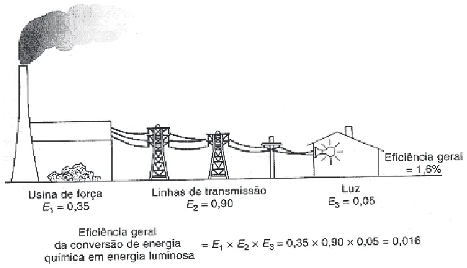 Trecho original com figura, tabela ou fórmula da questão 14 do ENEM 2009 - 1º Dia - Caderno 3 - Branco.