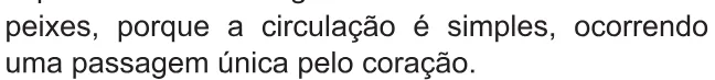 Alternativa D da questão 132 do ENEM 2021 - 2º Dia – Caderno 5 – Amarelo – Aplicação Regular.