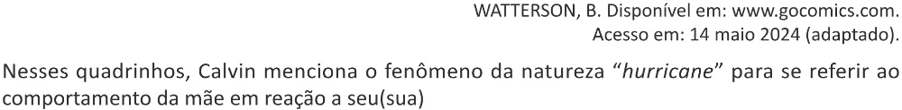 Trecho original com figura, tabela ou fórmula da questão 1 (inglês) do ENEM 2025 - 1º Dia – Caderno 9 – Laranja (Braile e ledor) – Reaplicação - (Ampliada).