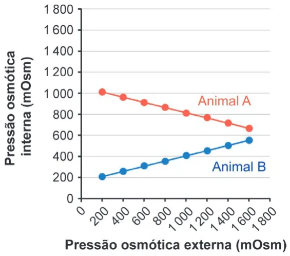 Alternativa D da questão 105 do ENEM 2024 - 2º Dia – Caderno 8 – Verde – Reaplicação/PPL.