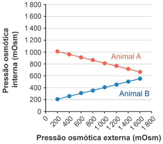 Alternativa D da questão 135 do ENEM 2024 - 2º Dia – Caderno 6 – Cinza – Reaplicação/PPL.