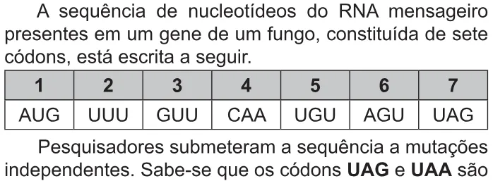 Trecho original com figura, tabela ou fórmula da questão 98 do ENEM 2021 - 2º Dia – Caderno 6 – Cinza – Aplicação Regular.