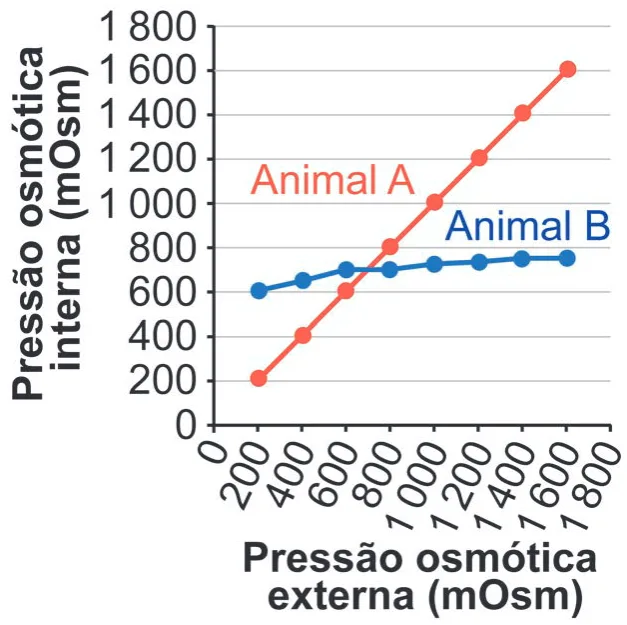 Gráfico da alternativa A da questão 105 do ENEM 2024.