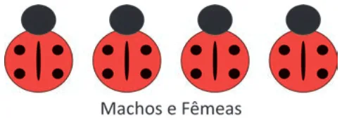 Alternativa C da questão 95 do ENEM 2025 - 2º Dia – Caderno 8 – Verde – Aplicação Regular.