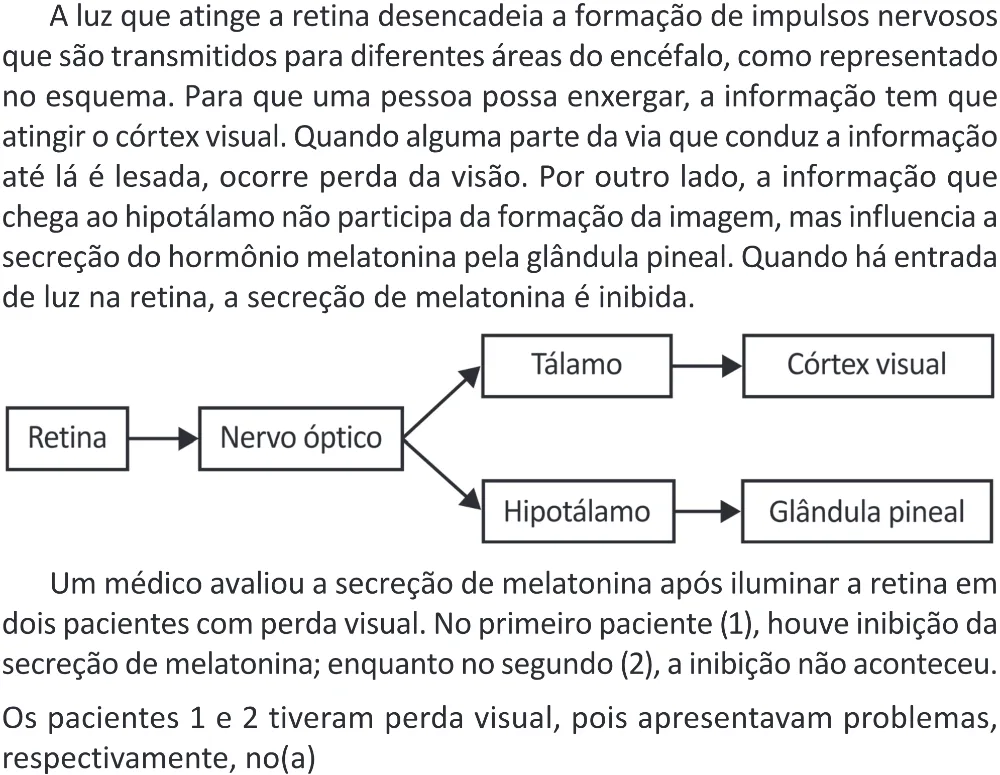 Trecho original com figura, tabela ou fórmula da questão 124 do ENEM 2025 - 2º Dia – Caderno 11 – Laranja (Braile e ledor) – Aplicação Regular - (Superampliada) - Belém, Ananindeua e Marituba.