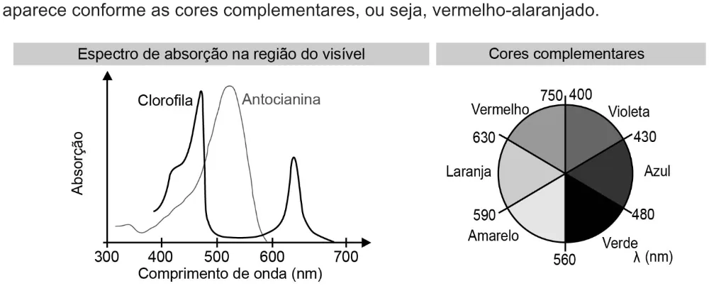 Trecho original com figura, tabela ou fórmula da questão 120 do ENEM 2021 - 2º Dia – Caderno 7 – Azul – Aplicação digital.