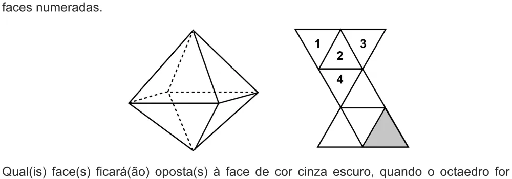 Trecho original com figura, tabela ou fórmula da questão 162 do ENEM 2021 - 2º Dia – Caderno 6 – Cinza – Aplicação digital.
