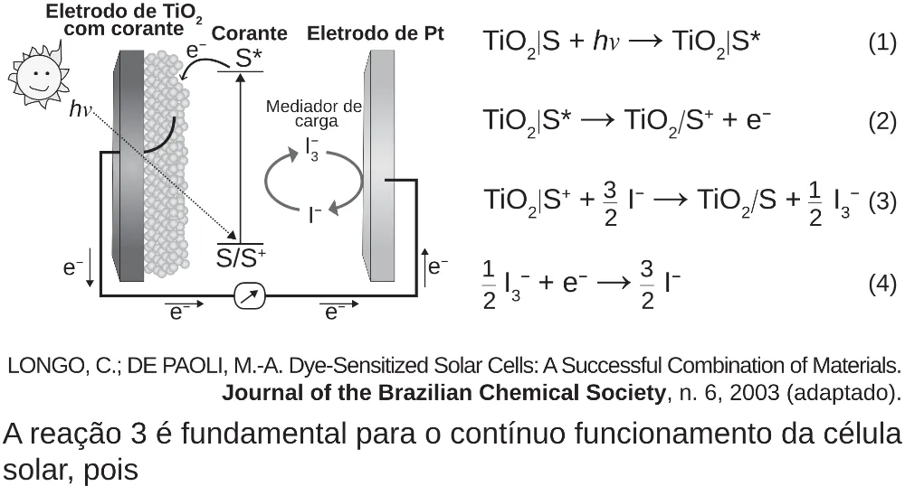 Trecho original com figura, tabela ou fórmula da questão 113 do ENEM 2018 - 2º Dia - Caderno 5 – Amarelo (Superampliada) – Aplicação regular.