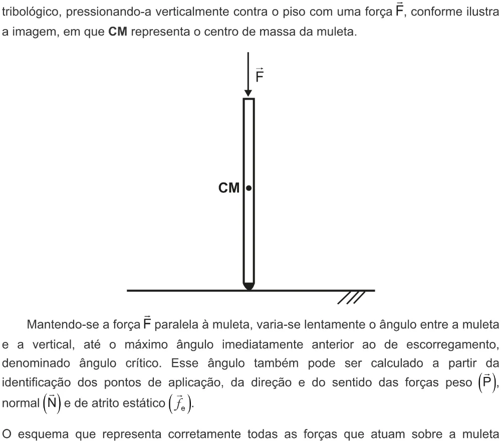 Trecho original com figura, tabela ou fórmula da questão 123 do ENEM 2022 - 2º Dia – Caderno 6 – Cinza – Aplicação digital.