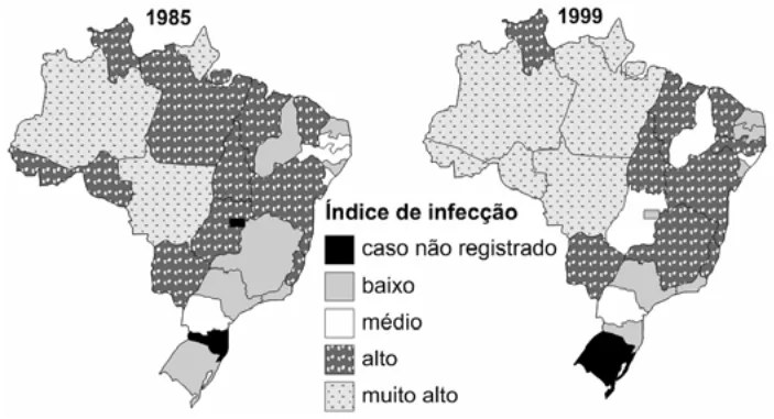 Trecho original com figura, tabela ou fórmula da questão 31 do ENEM 2007 - Caderno Amarelo.