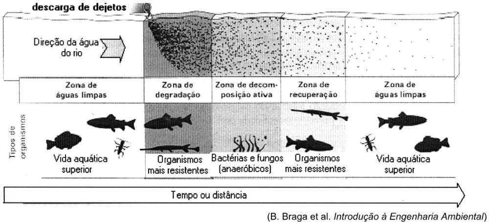 Trecho original com figura, tabela ou fórmula da questão 49 do ENEM 2004 - Caderno Amarelo.