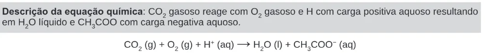 Alternativa B da questão 106 do ENEM 2024 - 2º Dia – Caderno 11 – Laranja (braile e ledor) – Aplicação Regular.