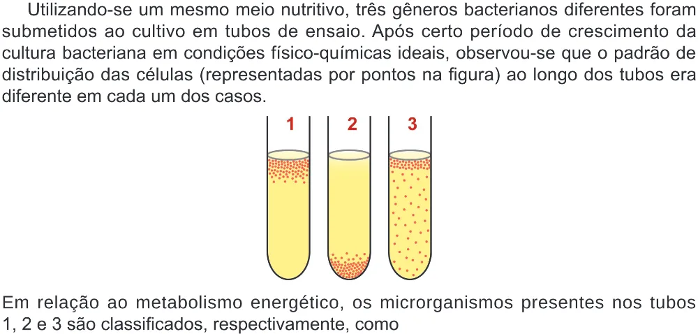 Trecho original com figura, tabela ou fórmula da questão 131 do ENEM 2024 - 2º Dia – Caderno 8 – Verde – Aplicação Regular - (Ampliada).